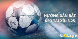 Bật mí cách bắt kèo tài xỉu 3.25 siêu chuẩn